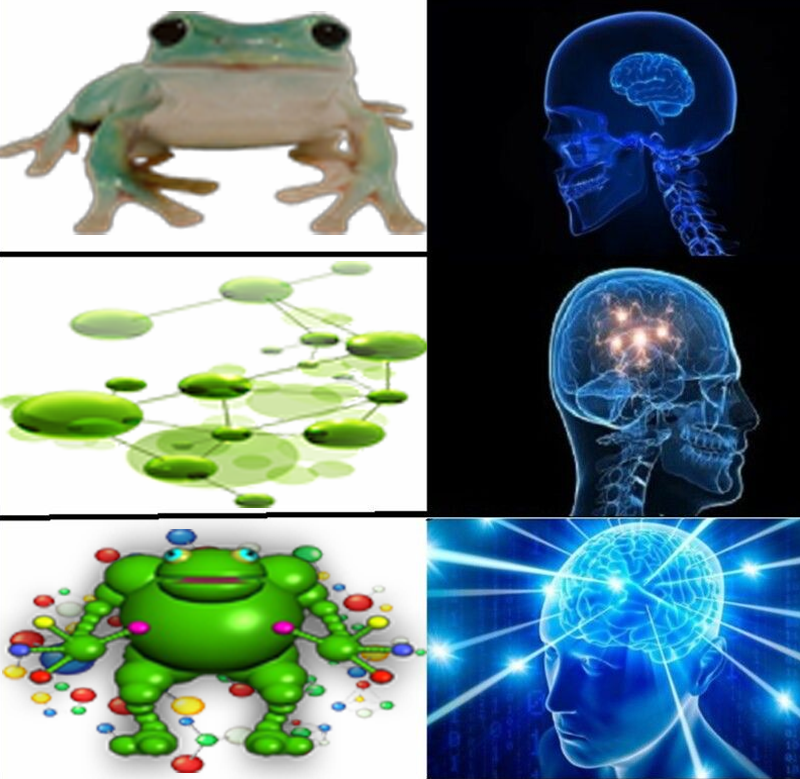 Recovered meme specimen 2